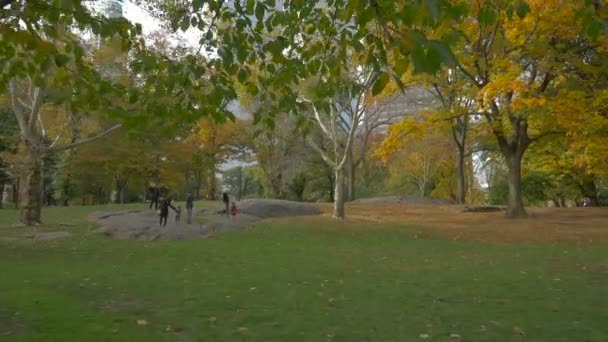 New York Taki Central Park — Stok video
