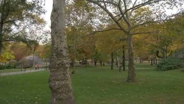 New York Taki Central Park — Stok video