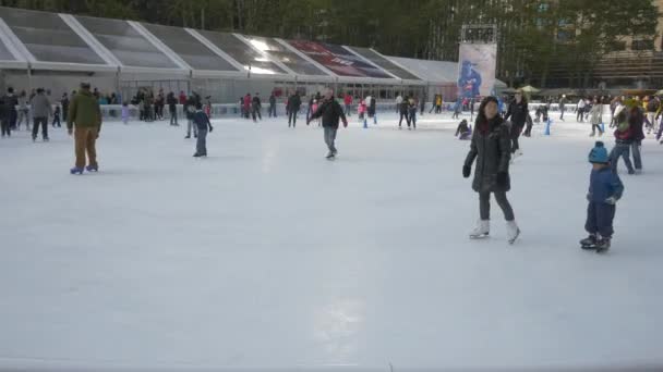 Eislaufen Und Fotografieren New York Usa — Stockvideo