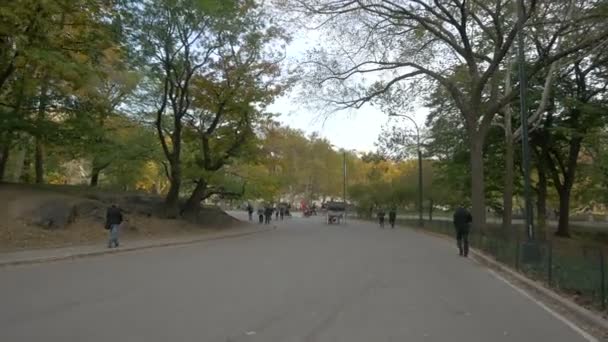 Callejón Central Park Nueva York Estados Unidos — Vídeos de Stock