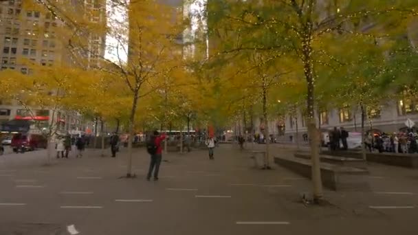 Желтые Деревья Огнями Парке Зуккотти Нью Йорке Сша — стоковое видео