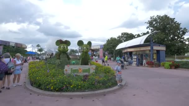 Blomsterträdgård Vid Epcot Center — Stockvideo