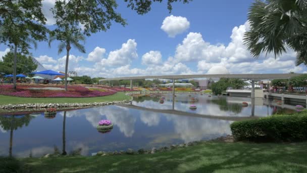 Jardim Flores Com Lago Epcot Center — Vídeo de Stock