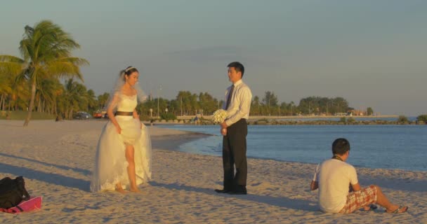 Braut Und Bräutigam Beim Fotografieren Strand — Stockvideo