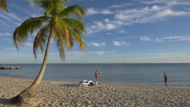 Ocean Shore Itt Miami Beach Amerikai Egyesült Államok — Stock videók