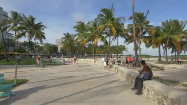 Touristen Entspannen Einem Park Miami Beach Vereinigte Staaten Von Amerika — Stockvideo