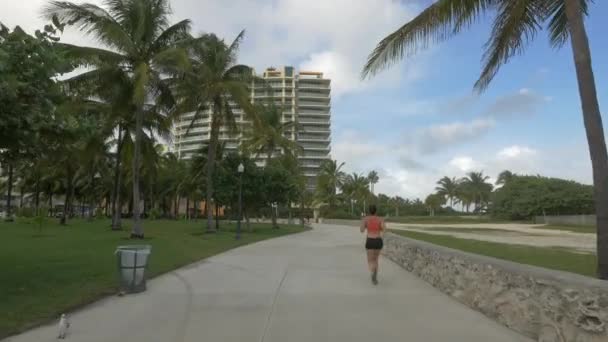 Blick Auf Junge Frau Beim Joggen — Stockvideo