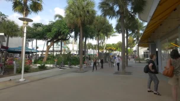 Turis Berjalan Lincoln Road Mall Miami Amerika Serikat — Stok Video