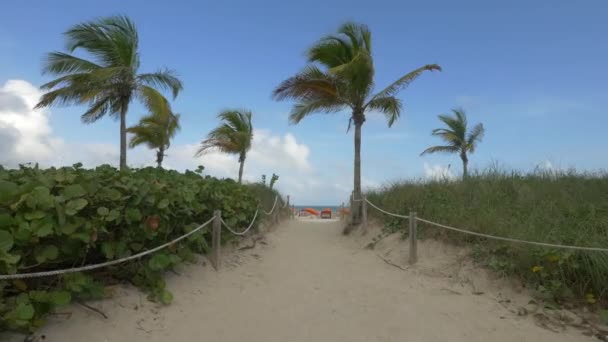 Gångväg Miami Beach Usa — Stockvideo