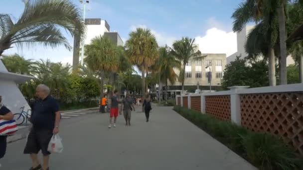 People Walking Sidewalk Lincoln Road Mall United States America — Stock Video