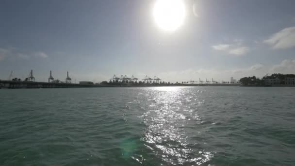 Cargo Cranes Port Seen Bay — Stock Video