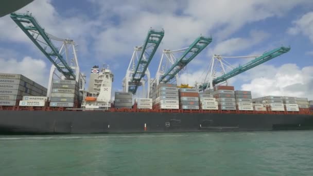 Navio Carga Com Contentores Num Porto — Vídeo de Stock