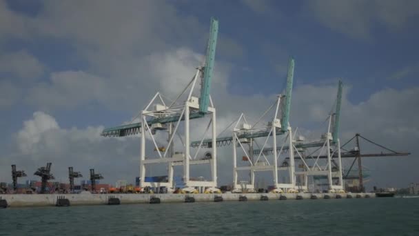 Platform Cranes Miami Port — Stock Video