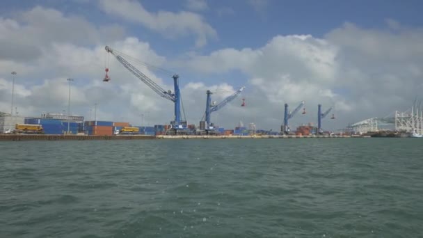Cargo Cranes Miami Port — Stock Video