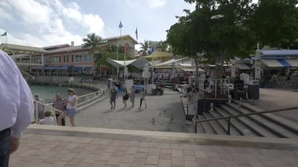 Miami Deki Bayside Pazarı — Stok video