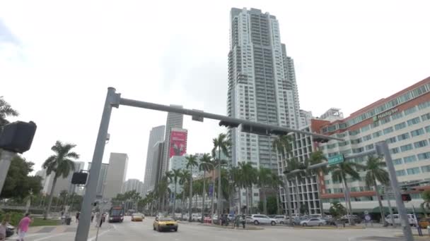Boulevard Biscayne Miami — Vídeos de Stock