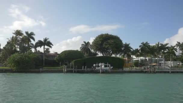 Waterfront Miami Usa — Stockvideo