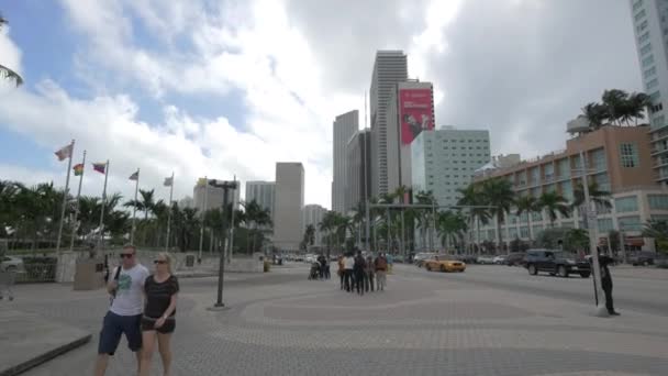Biscayne Boulevard Miami — Stockvideo