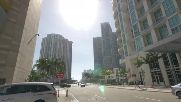 Street Downtown Miami — Stock Video