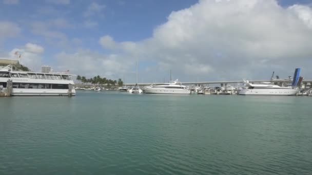 Yachter Och Båtar Bayside Marina Miami — Stockvideo