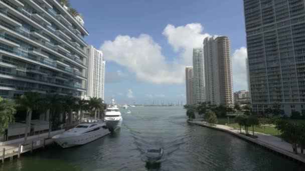 Rivière Miami Coule Miami — Video