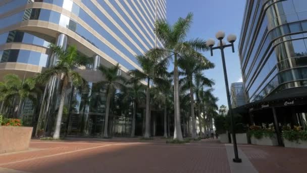 Parque Cerca Del Banco América Miami — Vídeo de stock