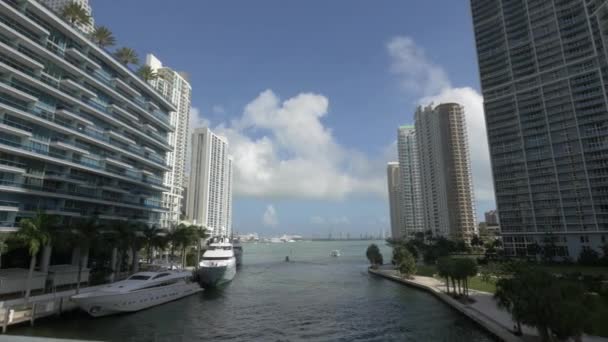 Rivière Miami Partir Brickell Avenue Bridge — Video