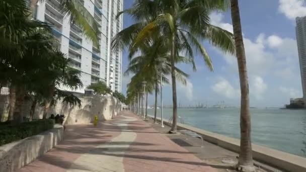 Paseo Marítimo Del Río Miami — Vídeos de Stock