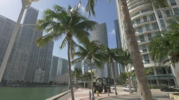 Gebäude Flussufer Miami — Stockvideo