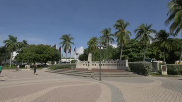 Pochodnia Przyjaźni Miami — Wideo stockowe