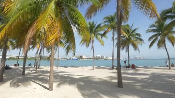 Turistas Relaxando Beira Mar — Vídeo de Stock