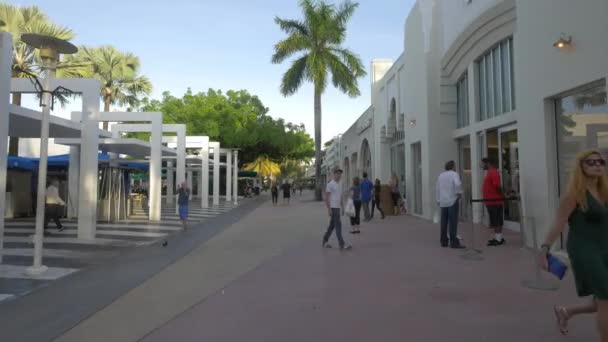 Walking Lincoln Road Mall — Stock Video