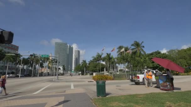 Boulevard Biscayne Miami — Vídeos de Stock