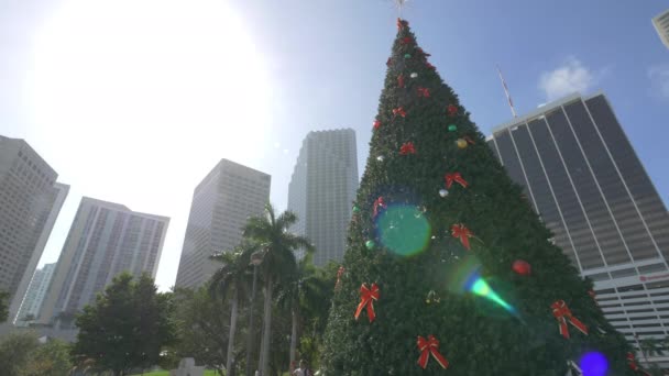 ベイフロントパークのクリスマスツリーの低角度 — ストック動画