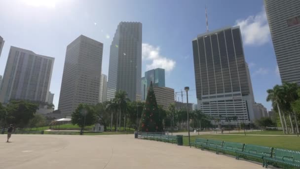 Choinka Bayfront Park Miami — Wideo stockowe