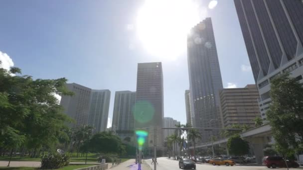 마이애미 시내의 마천루 — 비디오