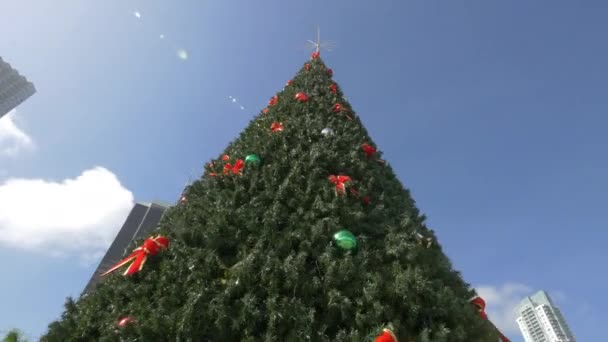 Nízký Úhel Vánočního Stromu — Stock video