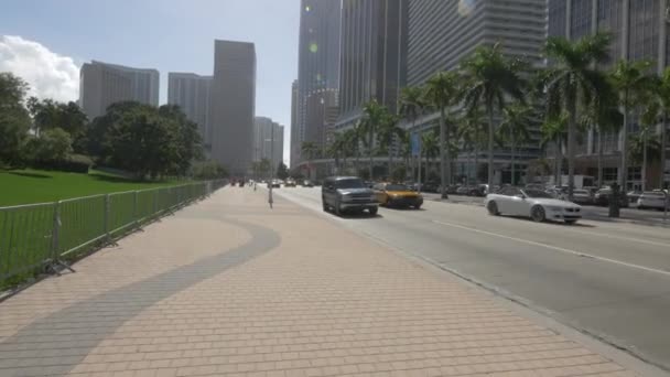 Miami Deki Biscayne Bulvarı — Stok video
