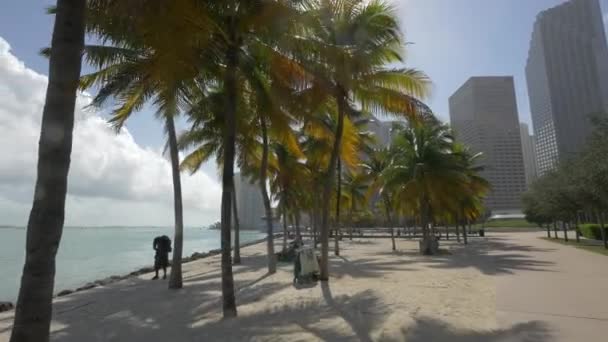 Nabrzeże Bayfront Park Miami — Wideo stockowe