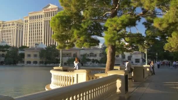 Pár Pihentető Közelében Lake Bellagio Las Vegas Egyesült Államok — Stock videók