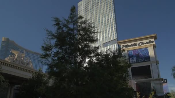 Bäume Der Nähe Des Monte Carlo Resorts Las Vegas Vereinigte — Stockvideo