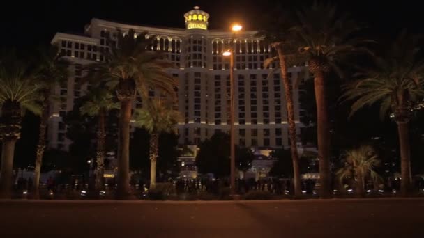 Bellagio Hotel Visto Atrás Palmeiras Noite Estados Unidos América — Vídeo de Stock