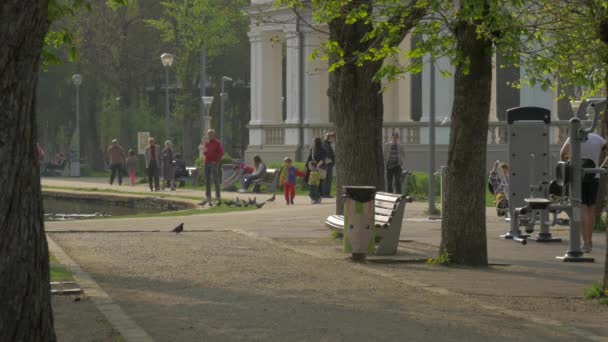 Les Gens Marchant Dans Parc — Video