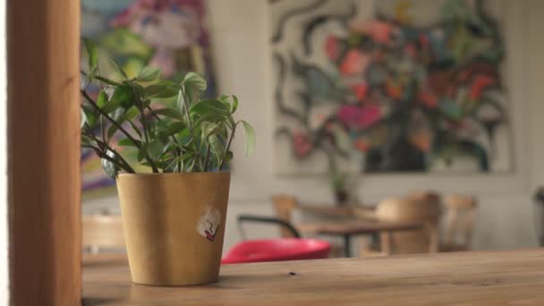 Pot Fleurs Dans Café — Video