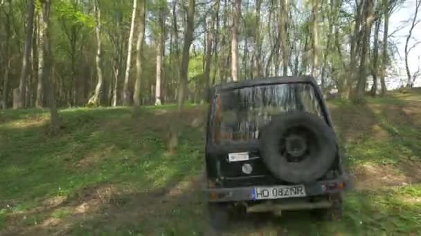 Jeep Οδήγηση Ένα Δάσος — Αρχείο Βίντεο