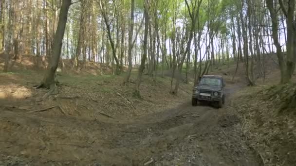 Jeep Conduciendo Bosque — Vídeo de stock