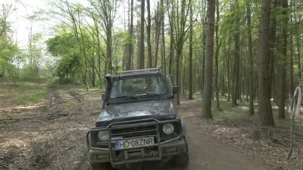 Jeep Fährt Wald — Stockvideo