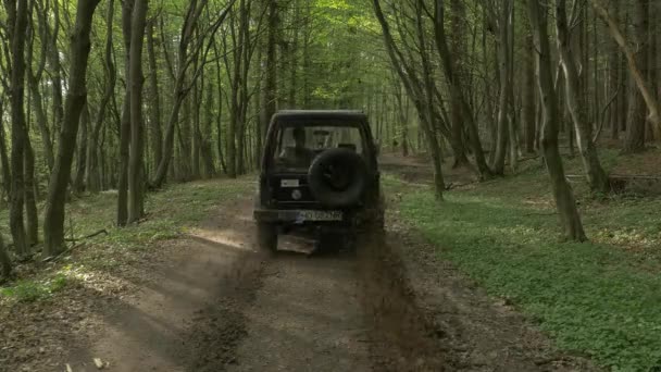 Jeep Fährt Auf Einem Pfad — Stockvideo