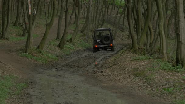 Jeep Caminho — Vídeo de Stock