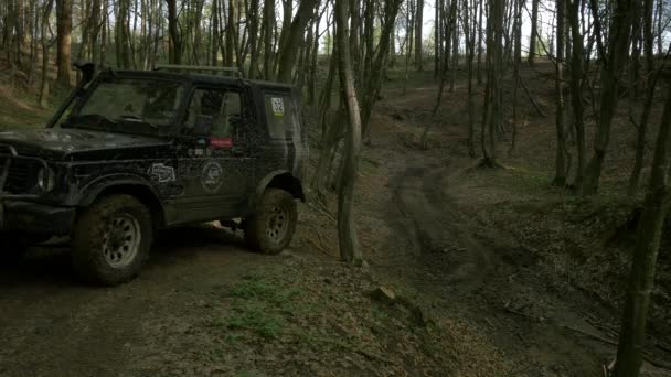 Jeep Dirigindo Para Trás Caminho — Vídeo de Stock
